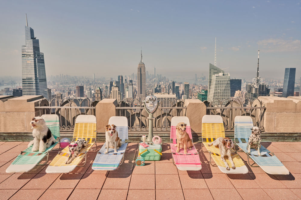 Photography by Gray Malin of Sunbathers, Top of The Rock