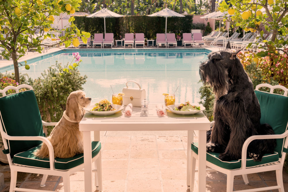 Photography by Gray Malin of Table for Two, The Beverly Hills Hotel