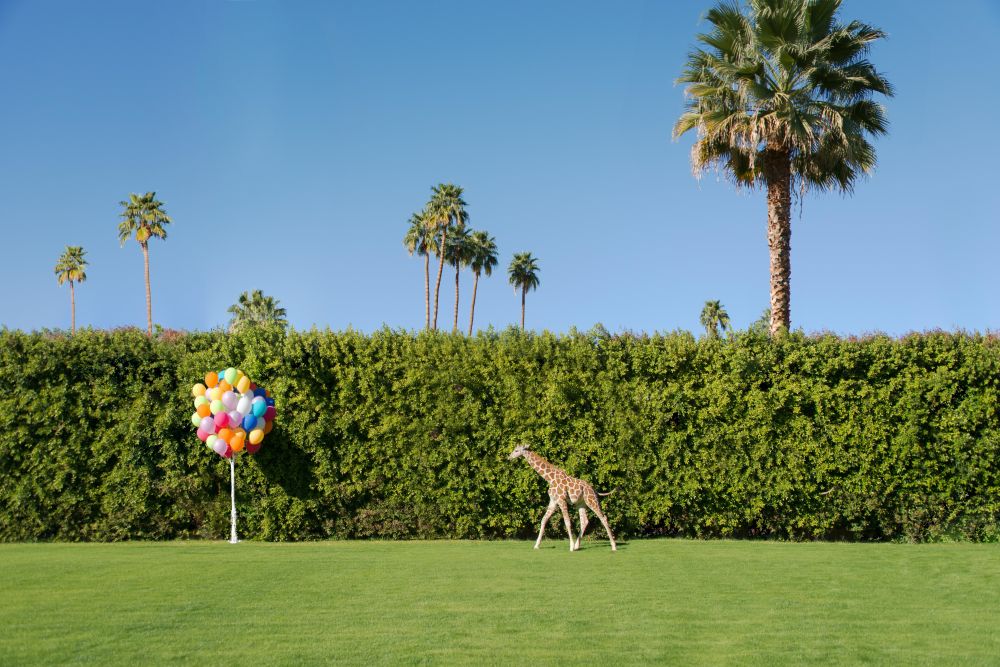 Photography by Gray Malin of Tag