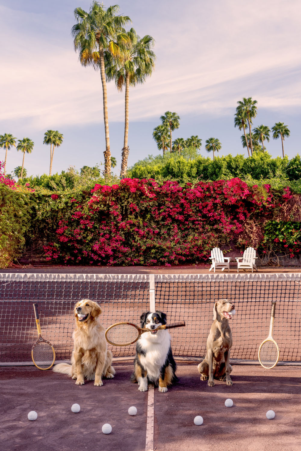 Photography by Gray Malin of Tennis Match, Parker Palm Springs