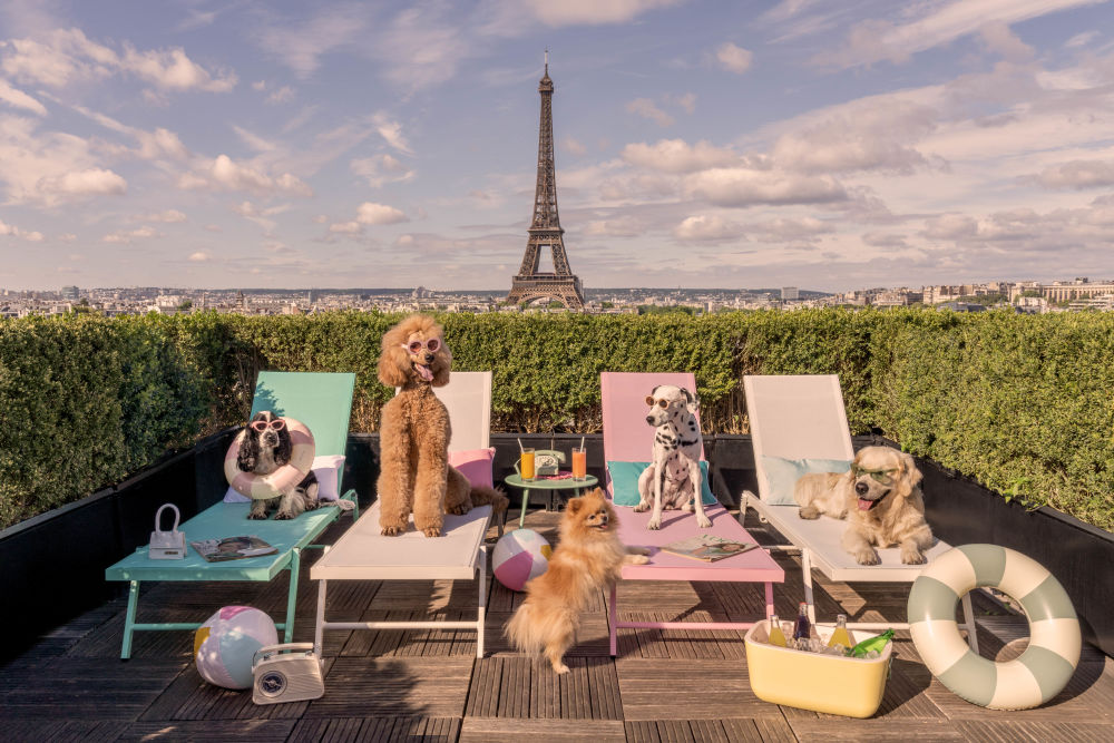 Photography by Gray Malin of Terrasse Sunbathers, Hôtel Plaza Athénée