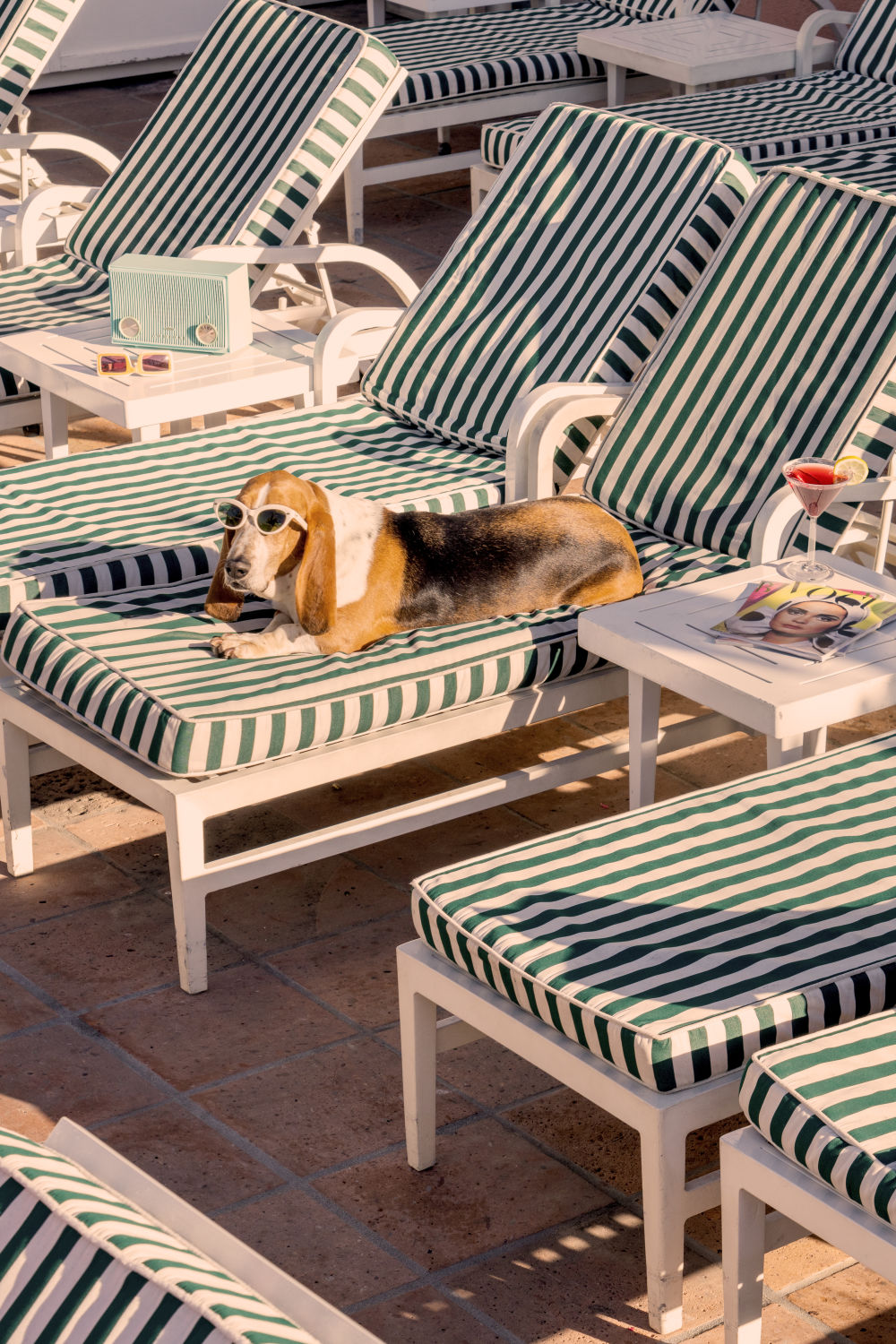 Photography by Gray Malin of The Basset Hound, The Beverly Hills Hotel