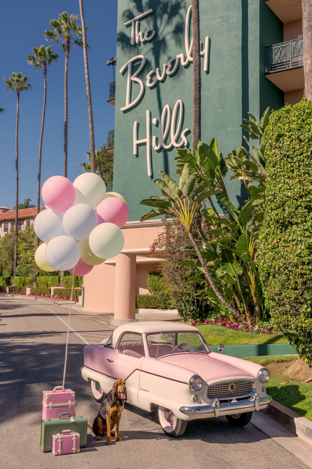 Photography by Gray Malin of The Bloodhound, The Beverly Hills Hotel