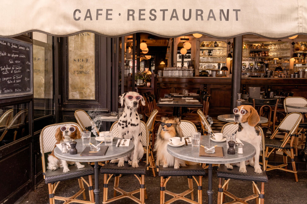 Photography by Gray Malin of The Café, Paris