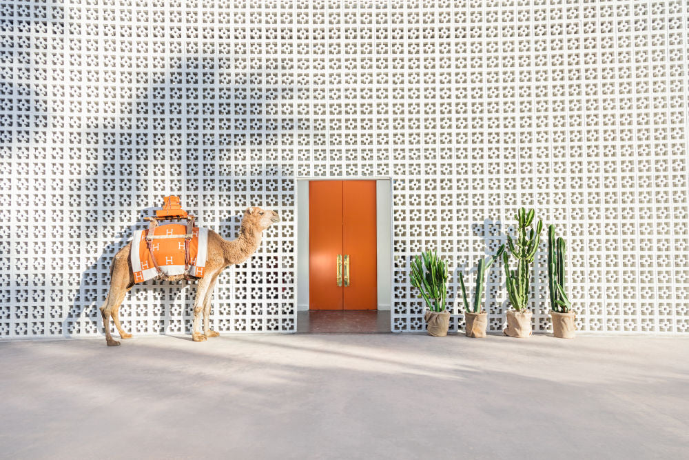 Photography by Gray Malin of The Camel Porter II