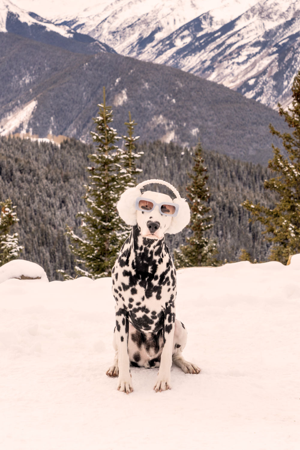 Photography by Gray Malin of The Dalmatian, Aspen