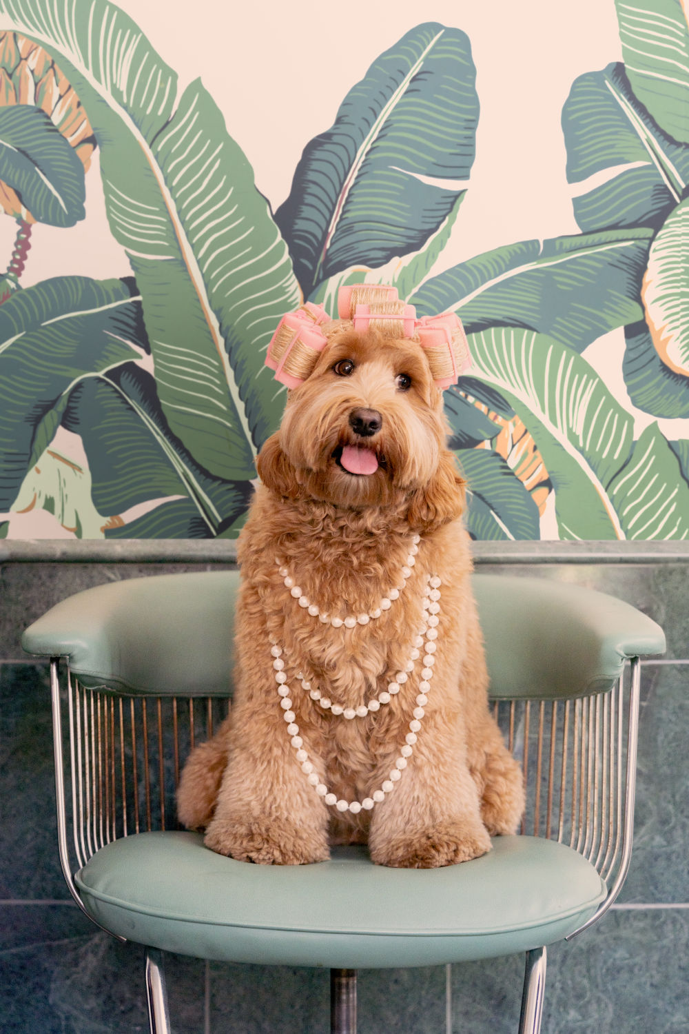 Photography by Gray Malin of The Doodle, The Beverly Hills Hotel