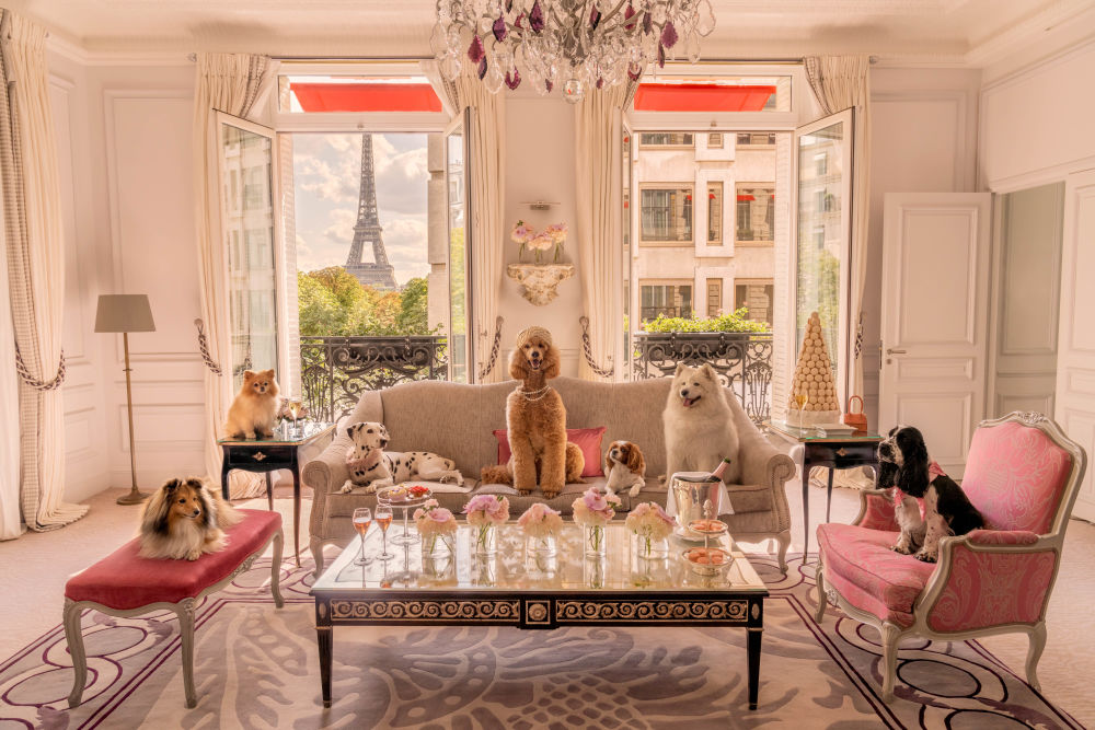 Photography by Gray Malin of The Eiffel Suite, Hôtel Plaza Athénée