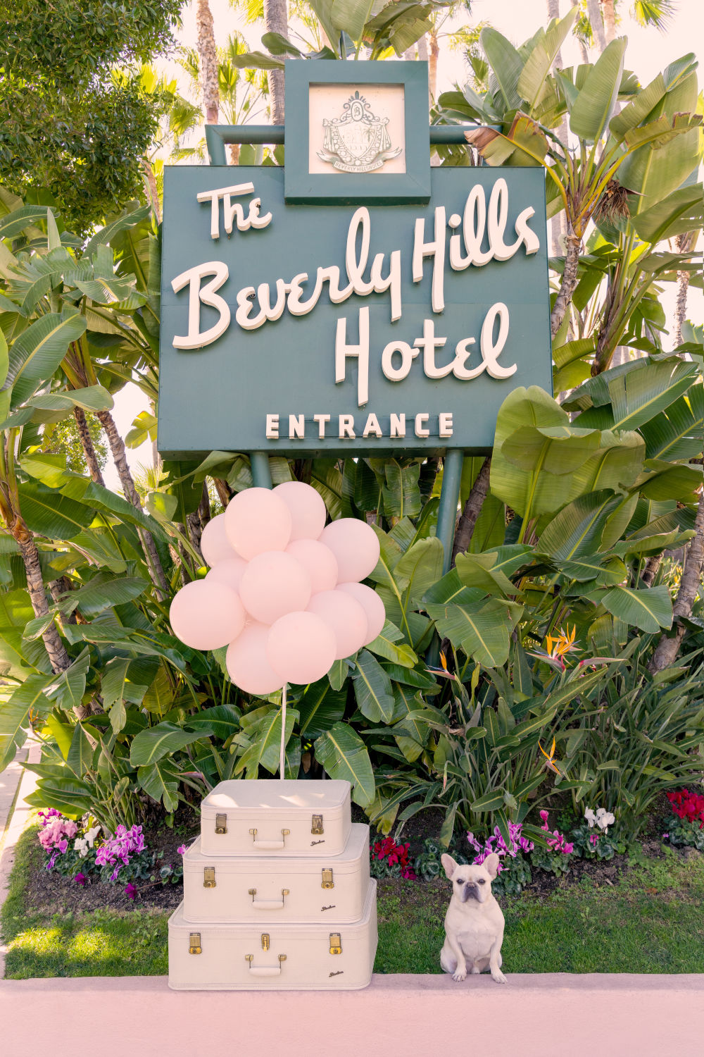 Photography by Gray Malin of The French Bulldog, The Beverly Hills Hotel