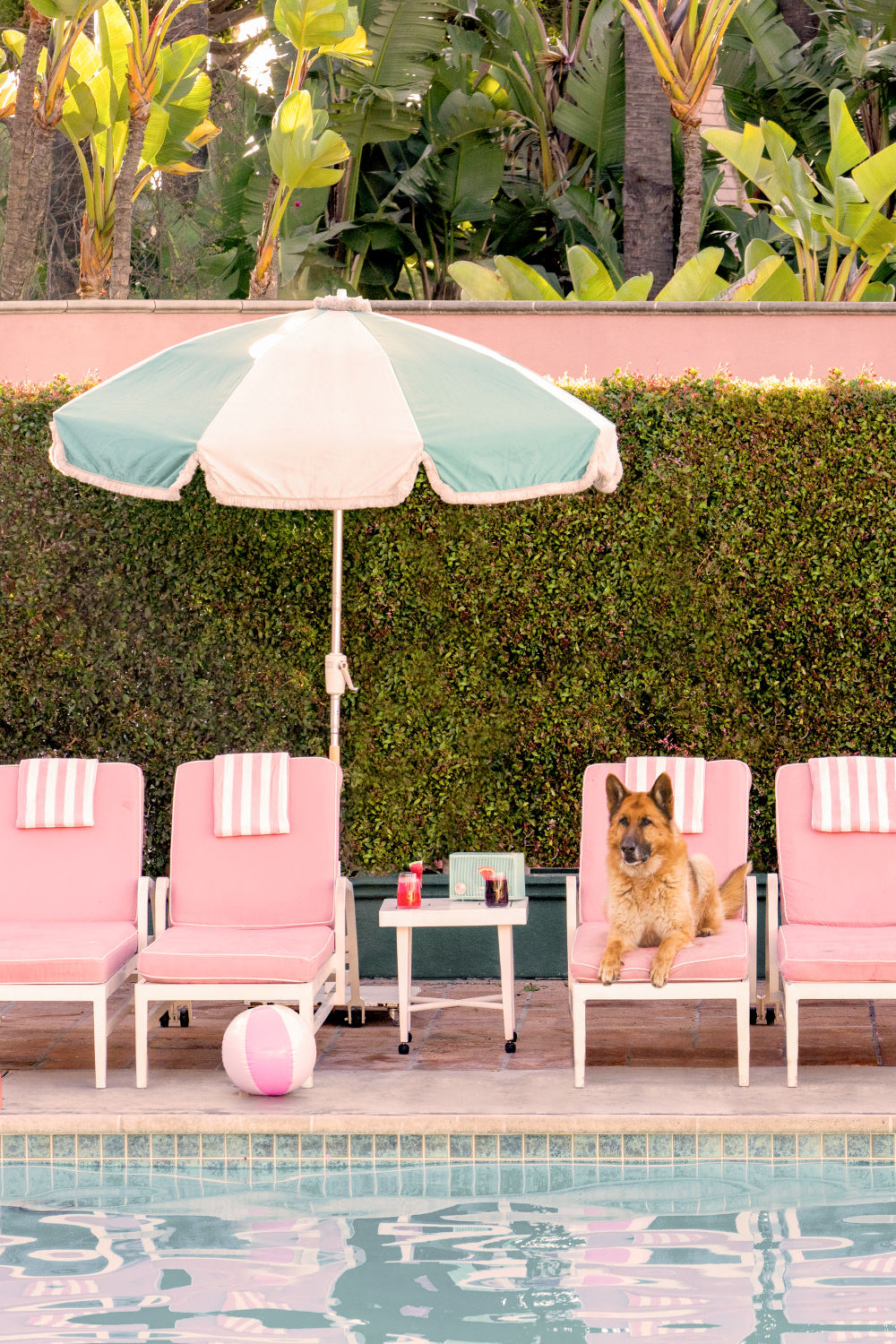 Photography by Gray Malin of The German Shepherd, The Beverly Hills Hotel