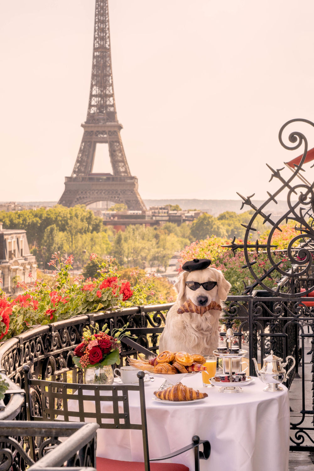 Photography by Gray Malin of The Golden Retriever, Hôtel Plaza Athénée
