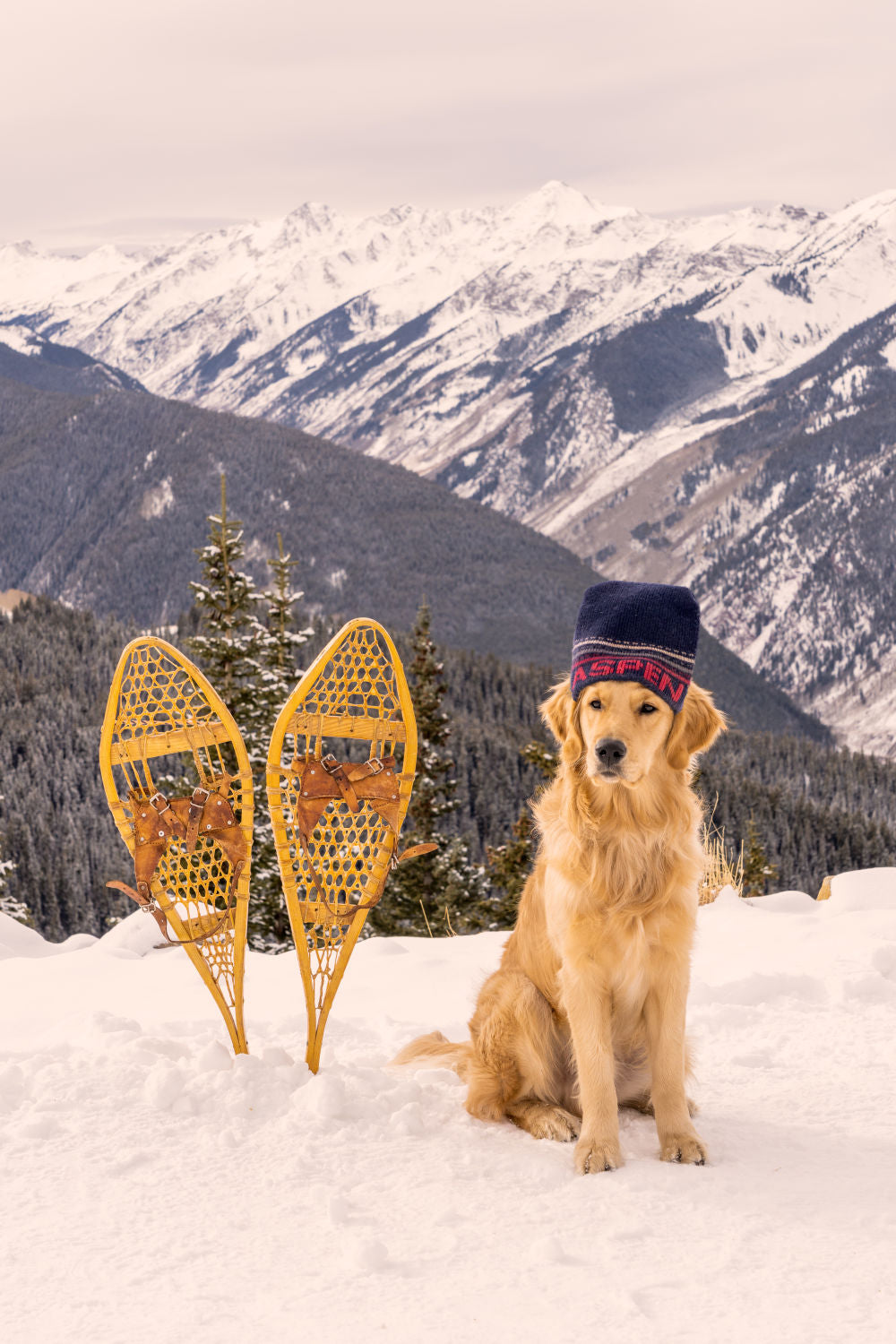 Photography by Gray Malin of The Golden Retriever, Aspen
