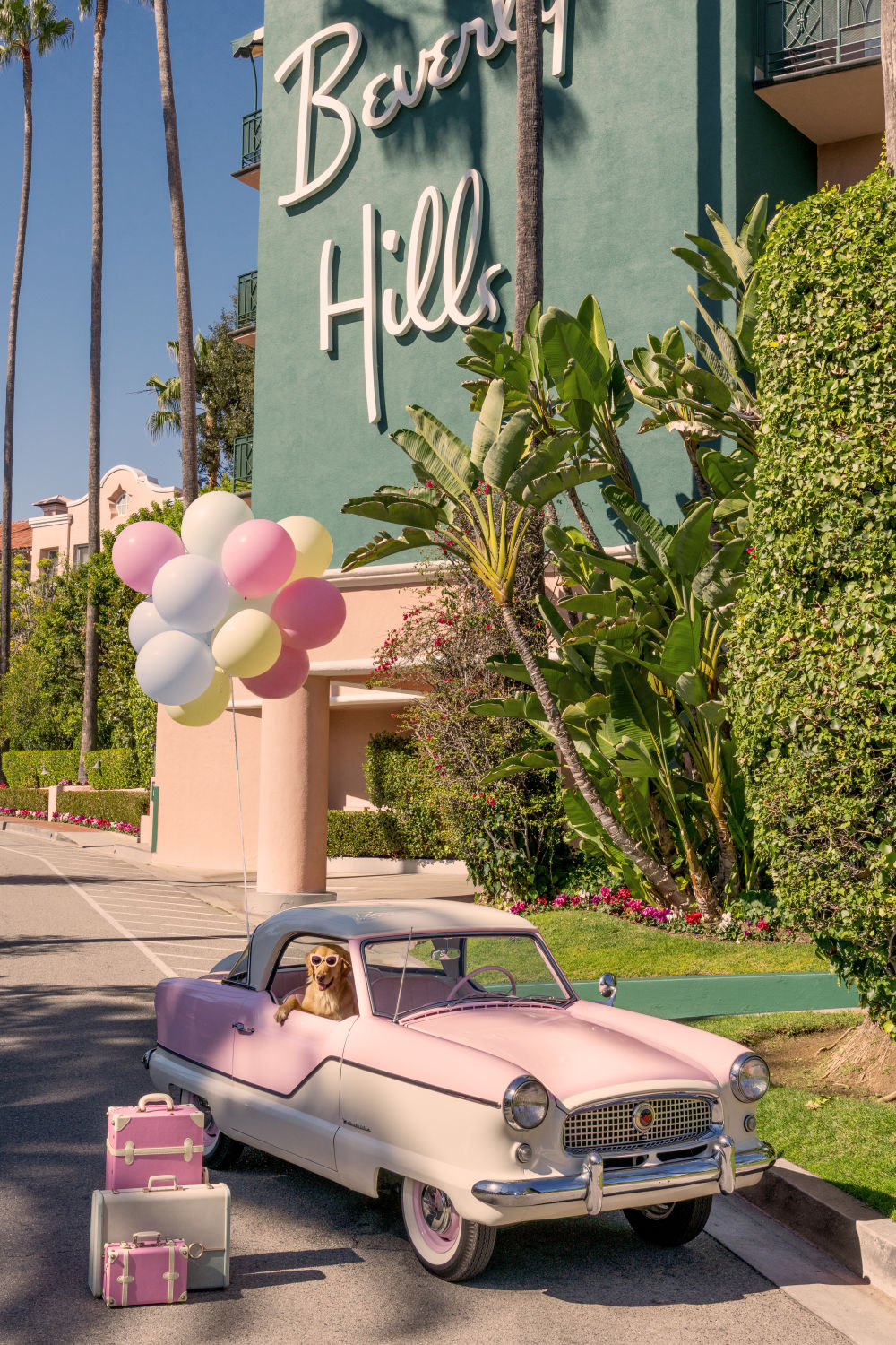 Photography by Gray Malin of The Golden Retriever, The Beverly Hills Hotel