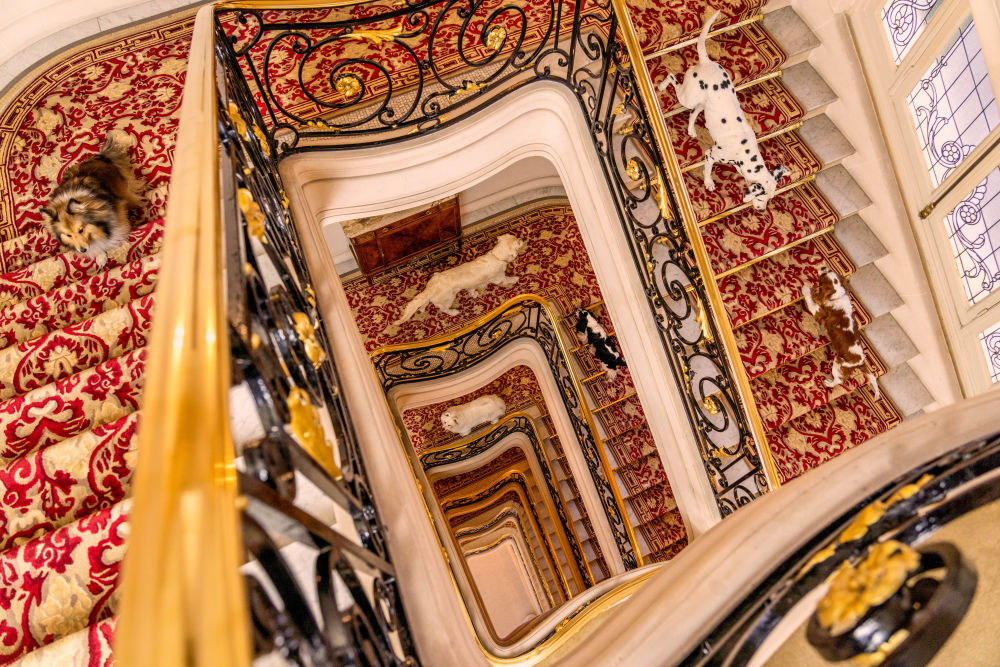 Photography by Gray Malin of The Grand Stairway, Hôtel Plaza Athénée