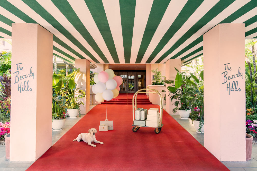 Photography by Gray Malin of The Labrador Retriever, The Beverly Hills Hotel