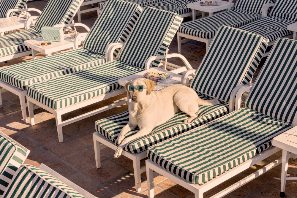 Photography by Gray Malin of The Lounging Lab, The Beverly Hills Hotel