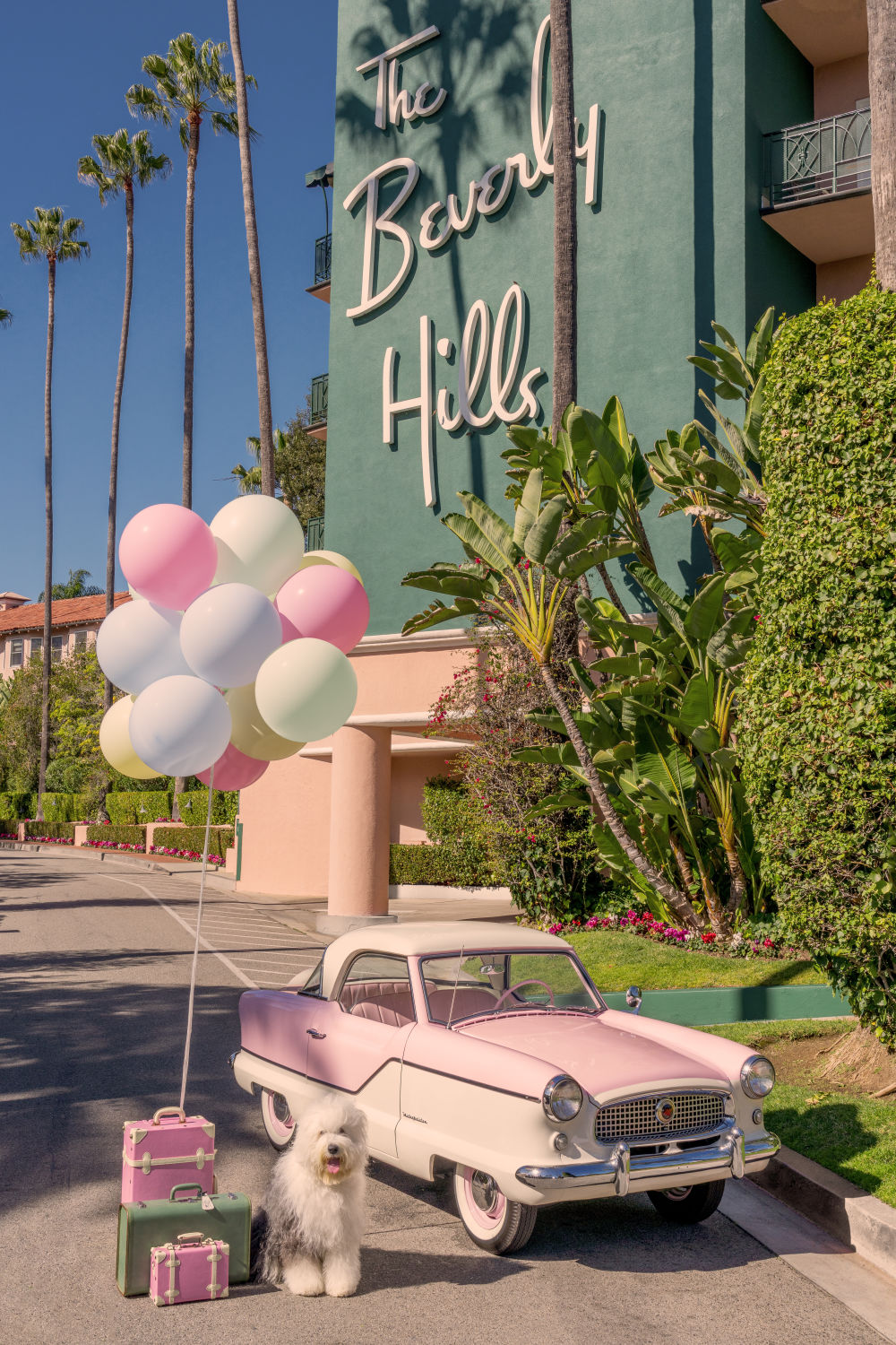 Photography by Gray Malin of The Old English Sheepdog, The Beverly Hills Hotel
