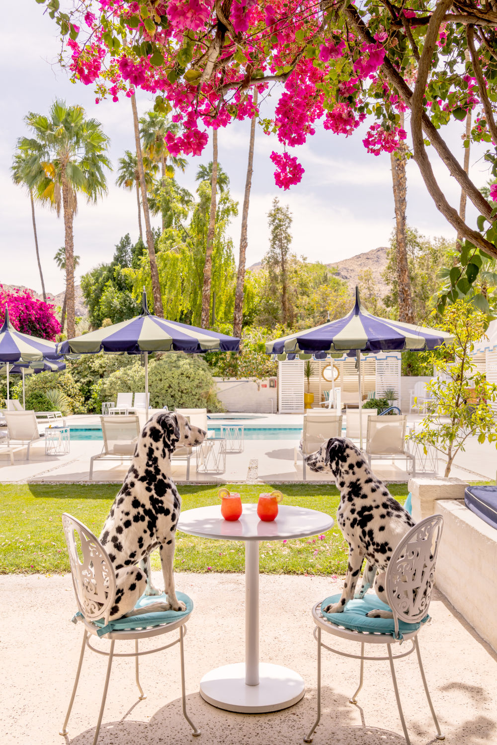 Photography by Gray Malin of The Perfect Spot, Parker Palm Springs