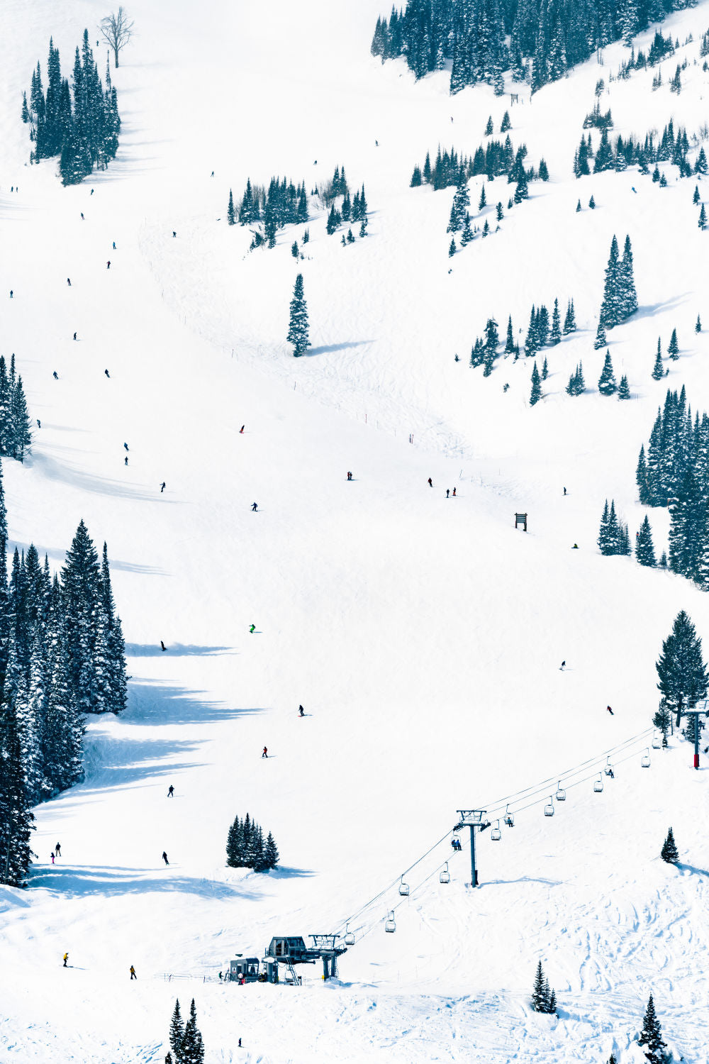 Photography by Gray Malin of The Ski Run, Jackson Hole