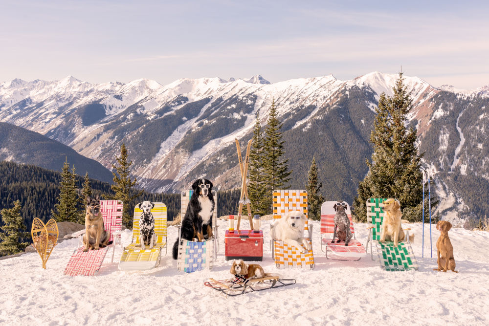 Photography by Gray Malin of The Sun Loungers, Dogs of Aspen
