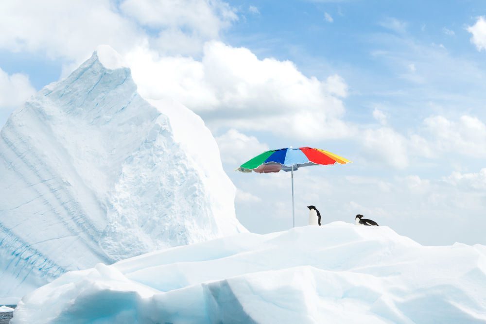 Photography by Gray Malin of The Sunbathers, Antarctica