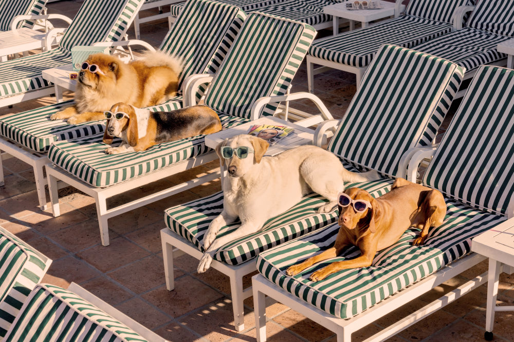 Photography by Gray Malin of The Sunbathers, The Beverly Hills Hotel