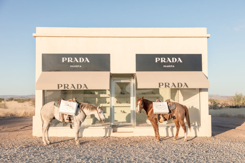 Photography by Gray Malin of Two Horses, Prada Marfa