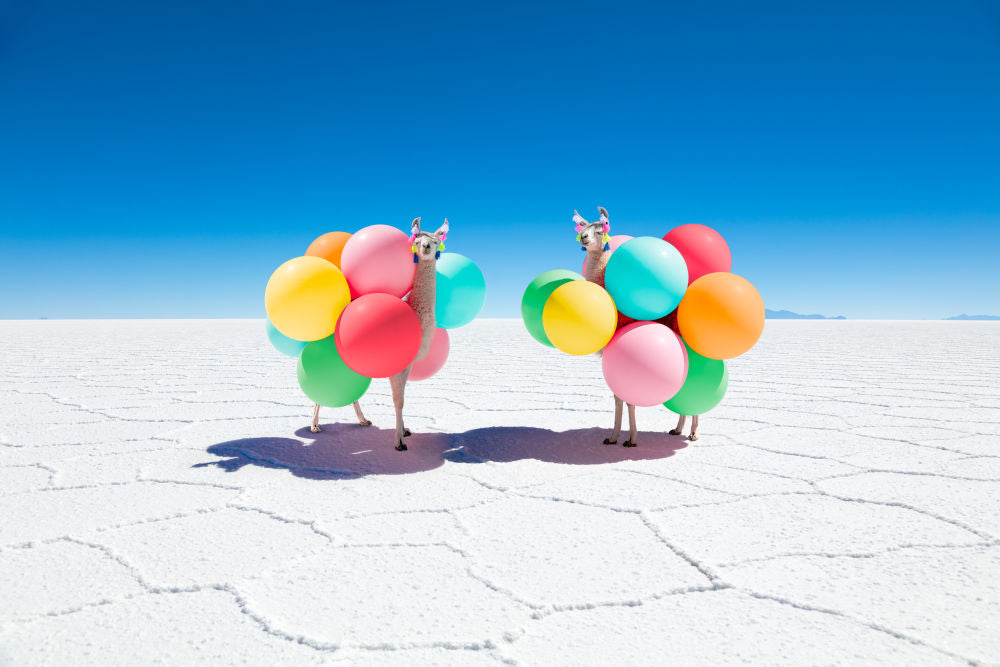 Photography by Gray Malin of Two Llamas with Color Balloons