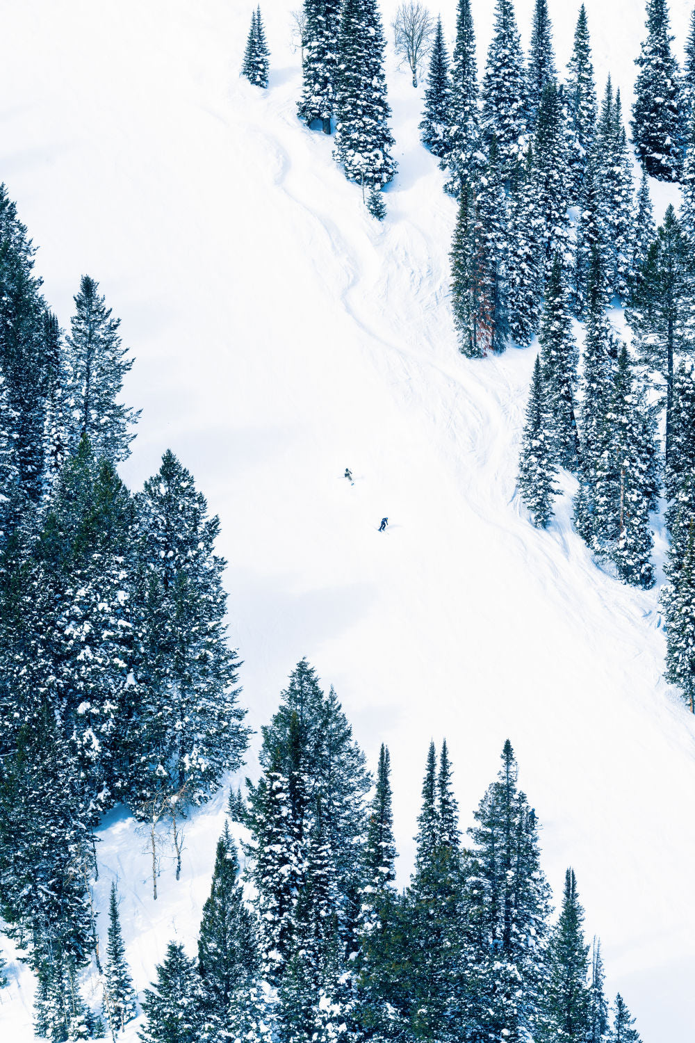 Photography by Gray Malin of Two Skiers, Jackson Hole