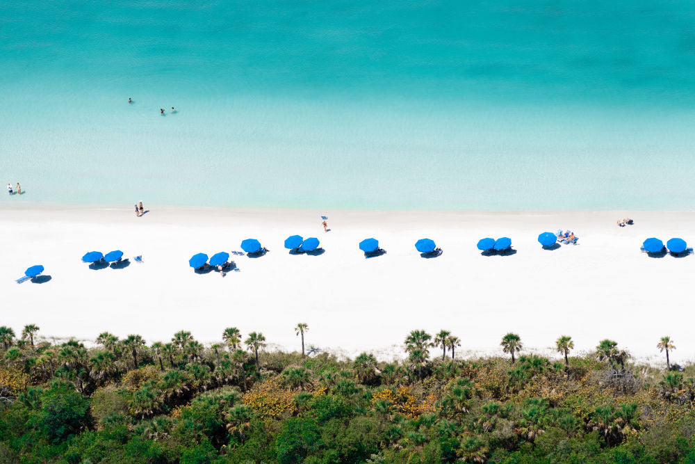 Photography by Gray Malin of Vanderbilt Beach Mangroves, Naples, Florida