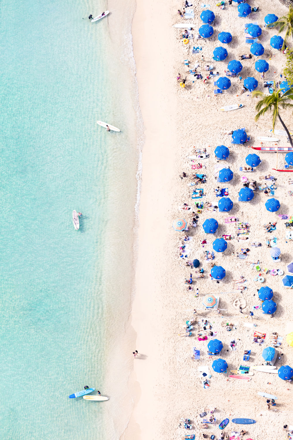 Photography by Gray Malin of Waikiki Beach Blue Umbrellas