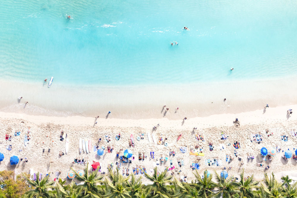 Photography by Gray Malin of Waikiki Beach Palm Trees