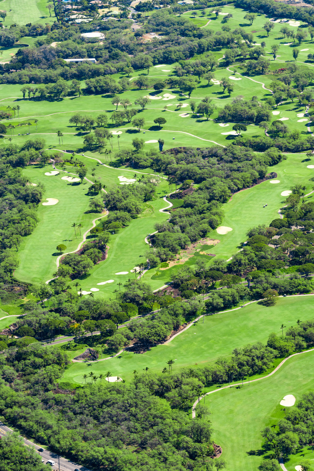 Photography by Gray Malin of Wailea Golf Club Vertical II, Maui