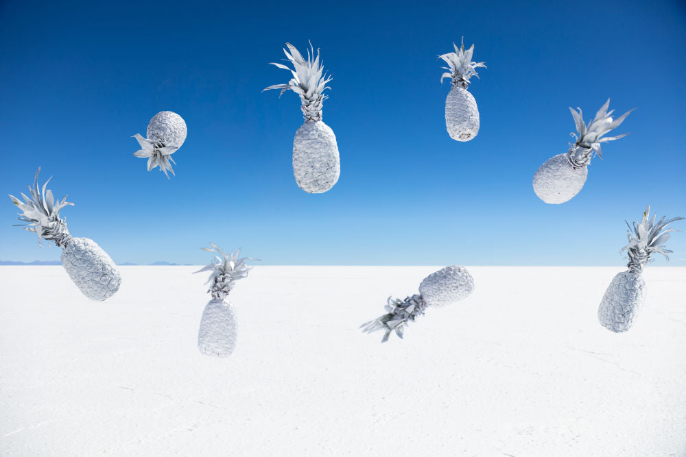 Photography by Gray Malin of White Pineapples II
