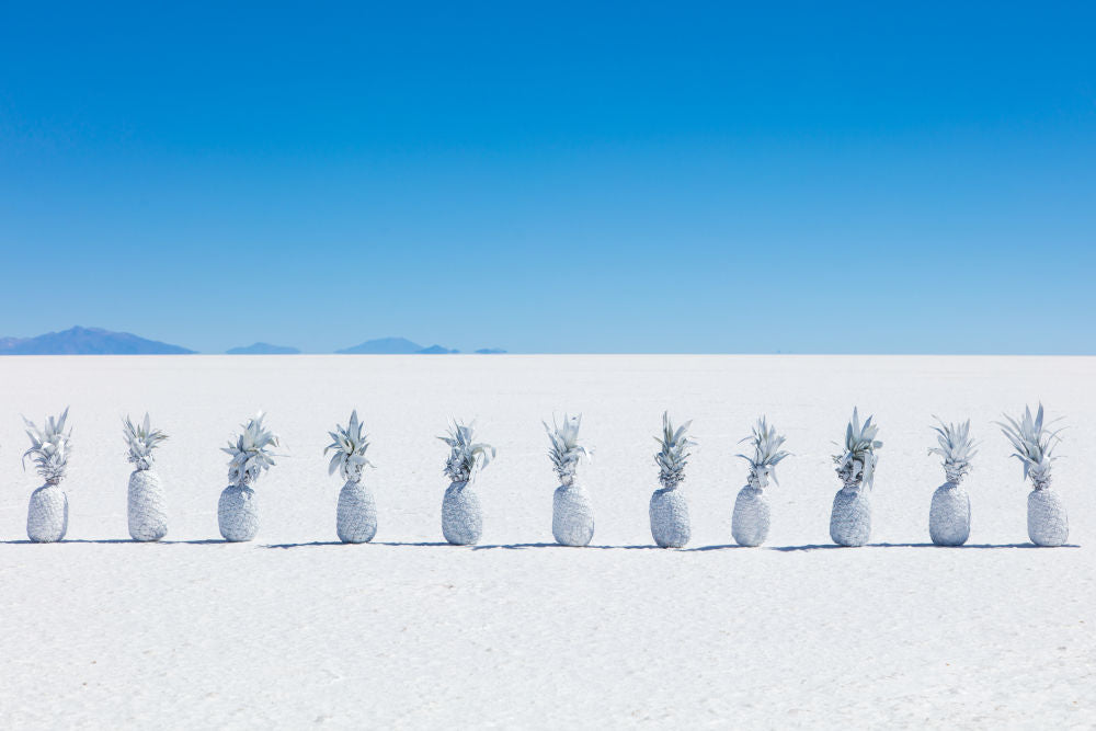 Photography by Gray Malin of White Pineapples I