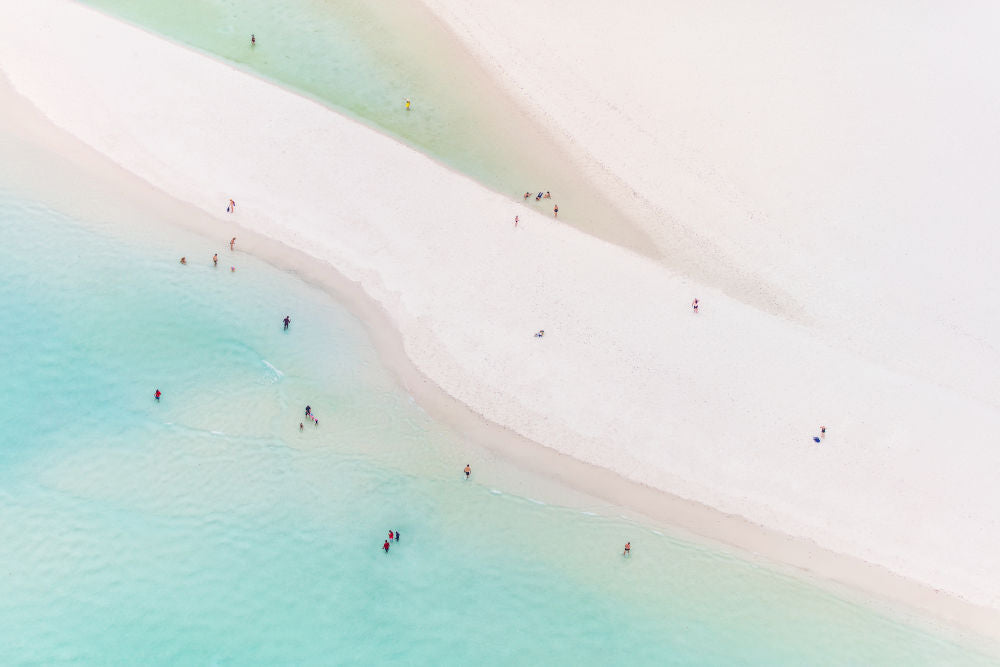 Photography by Gray Malin of Whitehaven Beach Swimmers