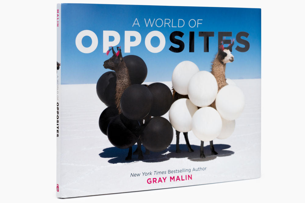 A World of Opposites by Gray Malin