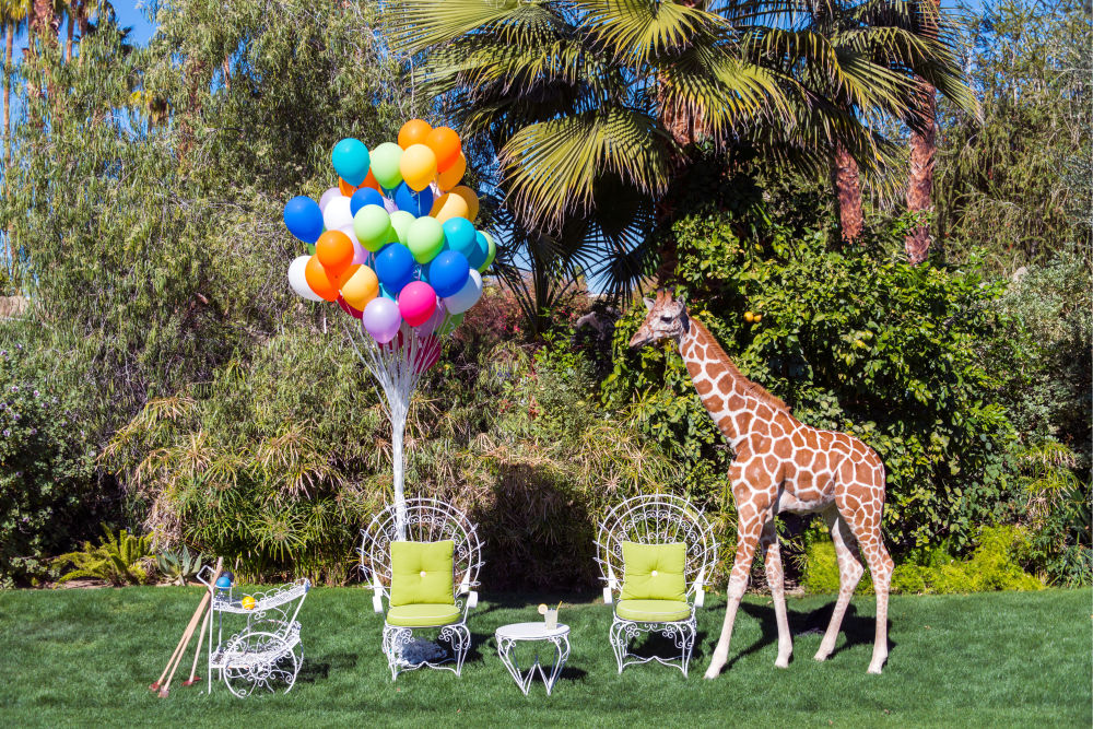 Photography by Gray Malin of Afternoon Croquet