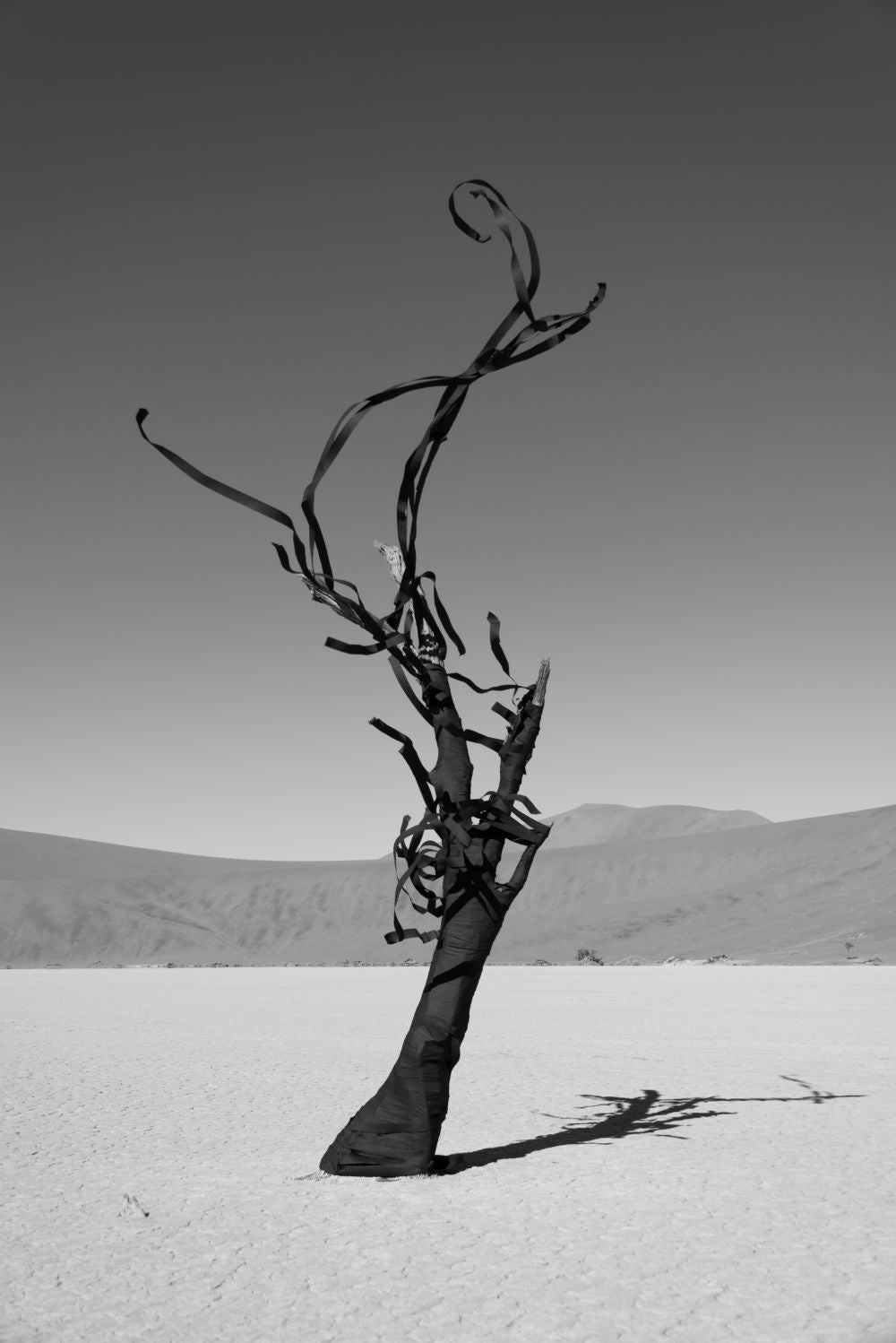 Photography by Gray Malin of Ancient Spirals