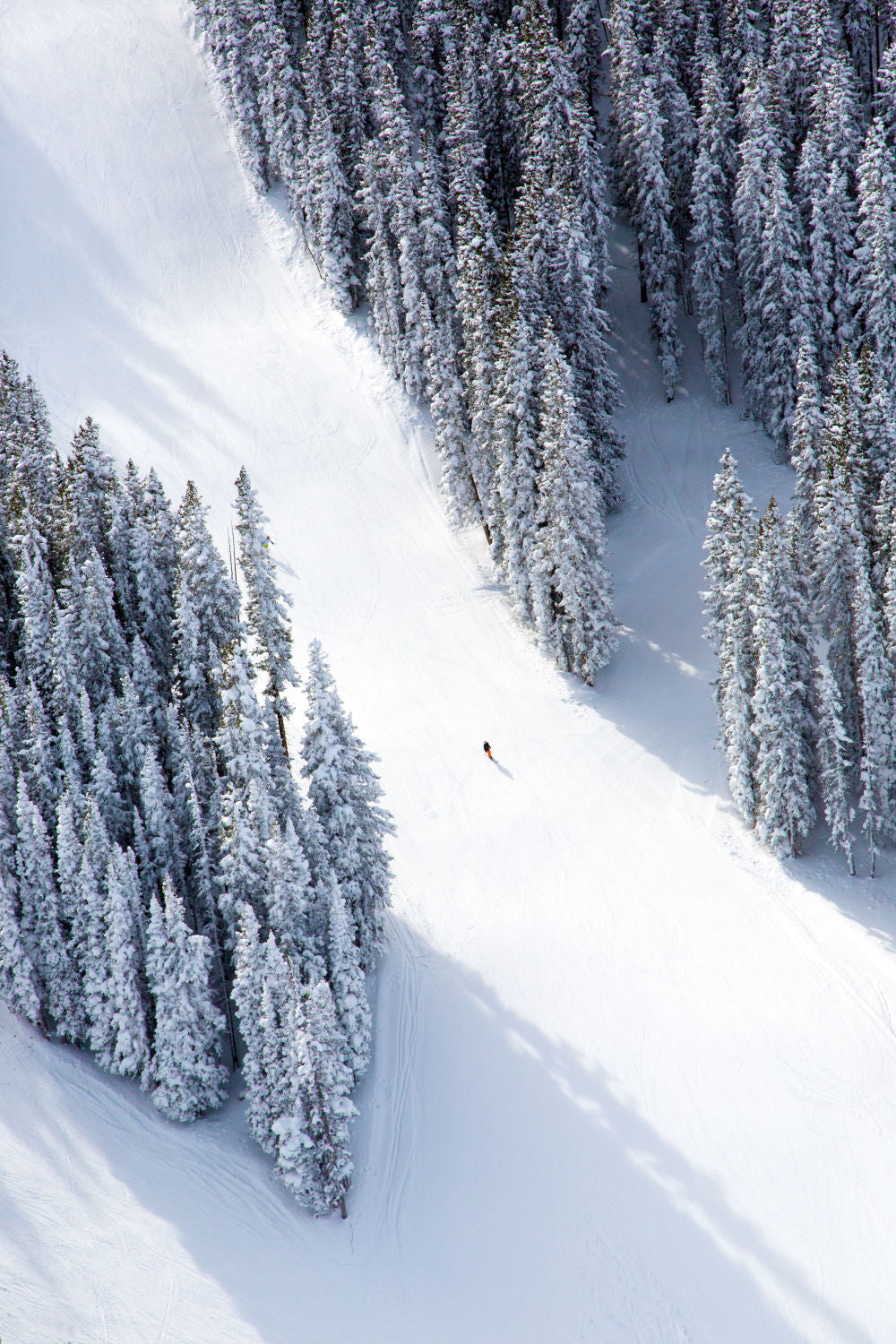 Photography by Gray Malin of Aspen Lone Skier