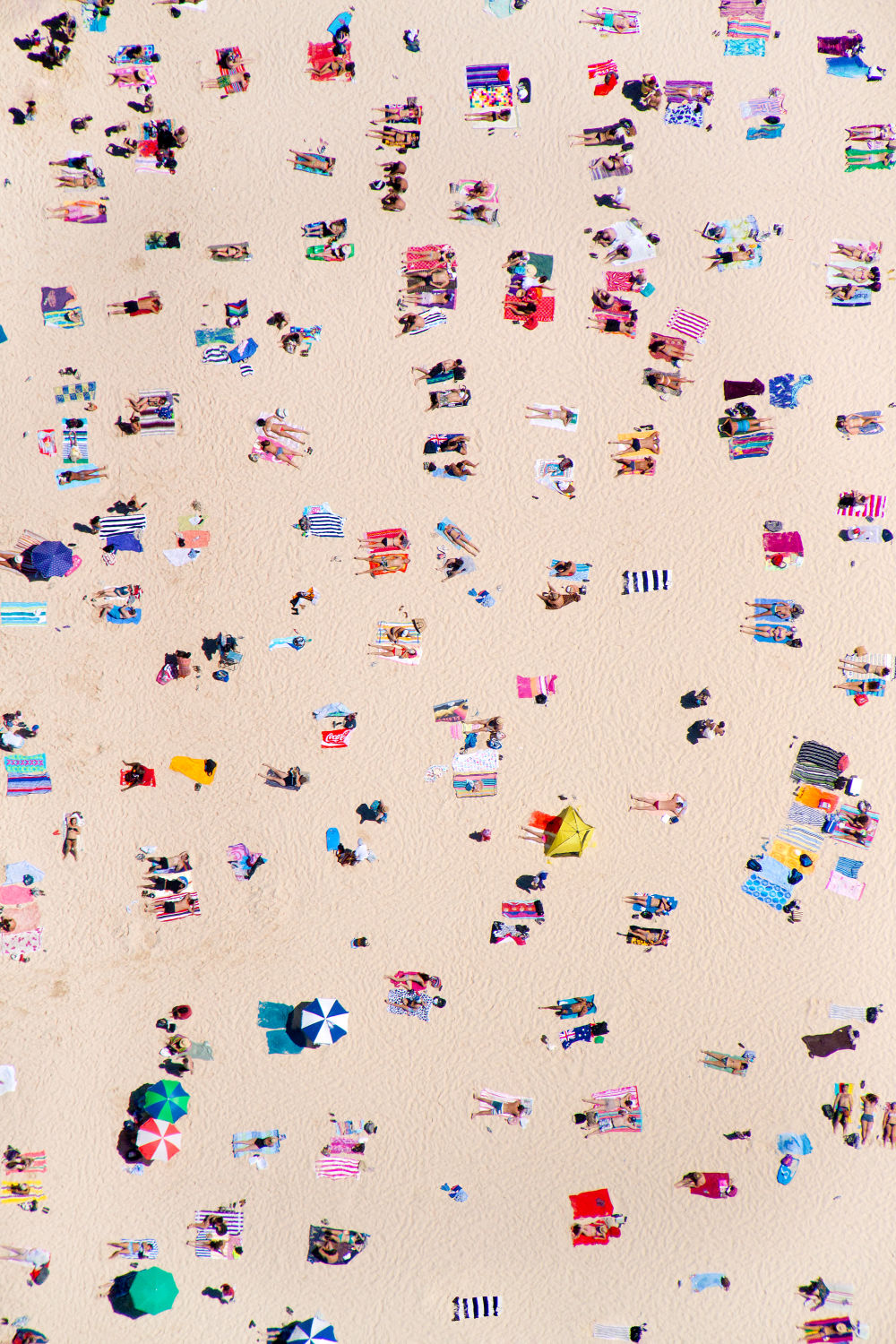 Photography by Gray Malin of Bondi Beach Close (Vertical)