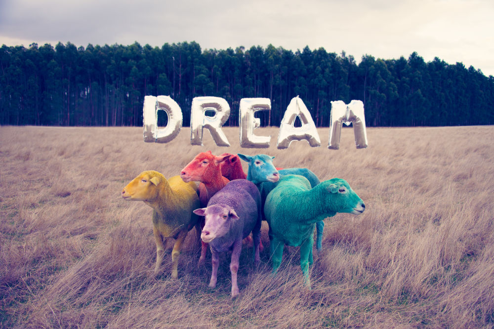 Photography by Gray Malin of Dream