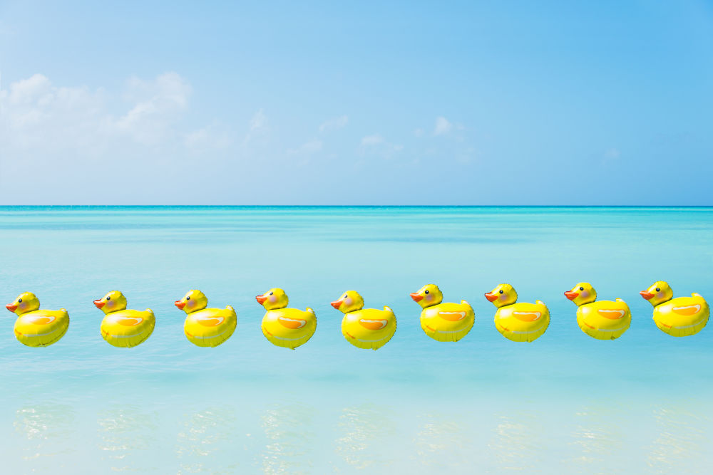 Photography by Gray Malin of Duck Balloons