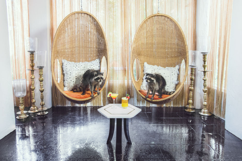 Photography by Gray Malin of Happy Hour