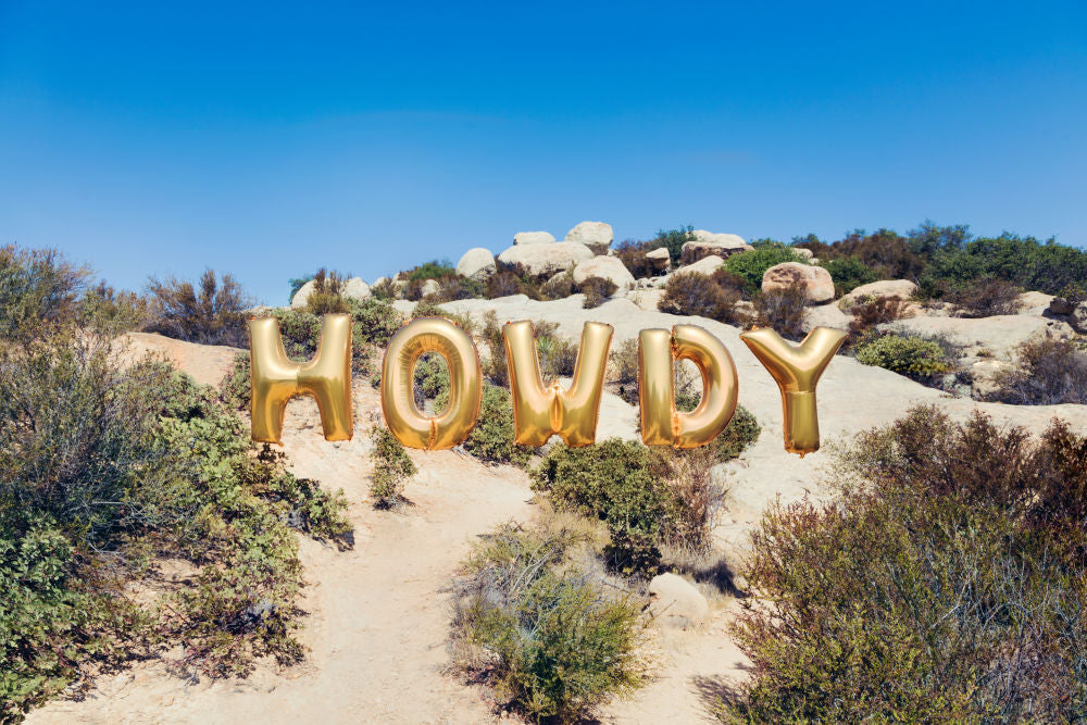 Photography by Gray Malin of Howdy Balloons
