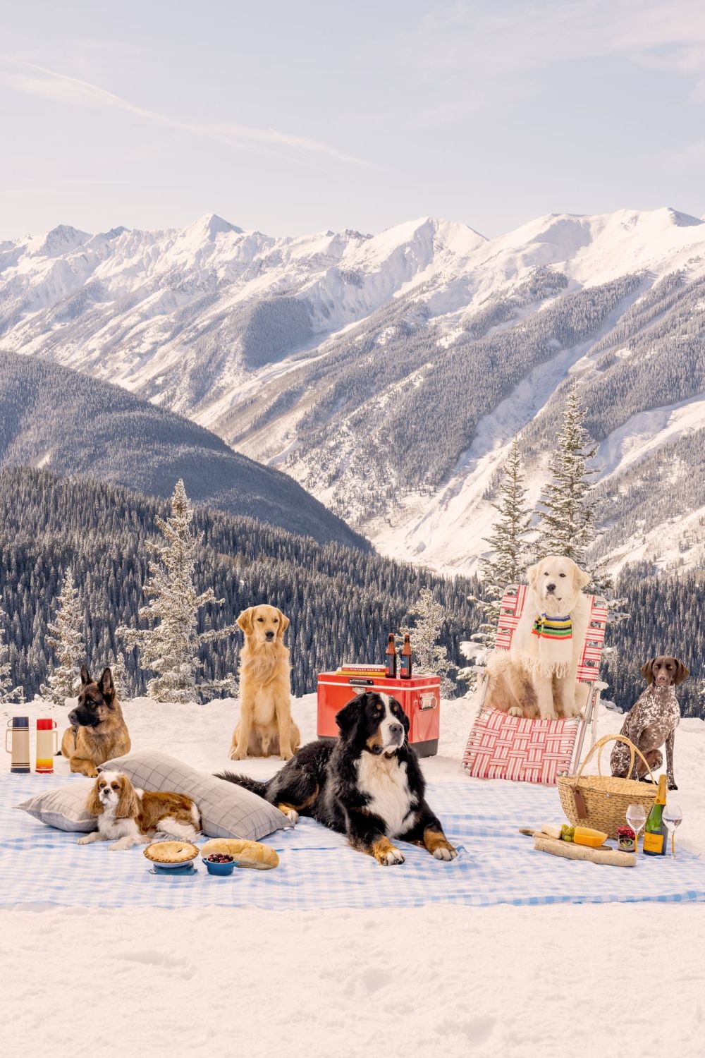 Photography by Gray Malin of Picnic Party Vertical, Top of Aspen Mountain