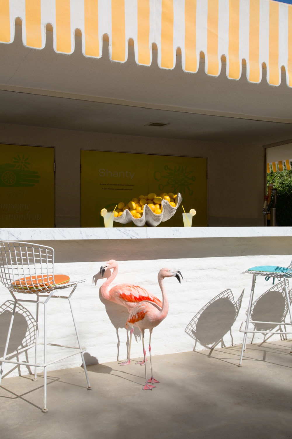 Photography by Gray Malin of Lemonade Stand