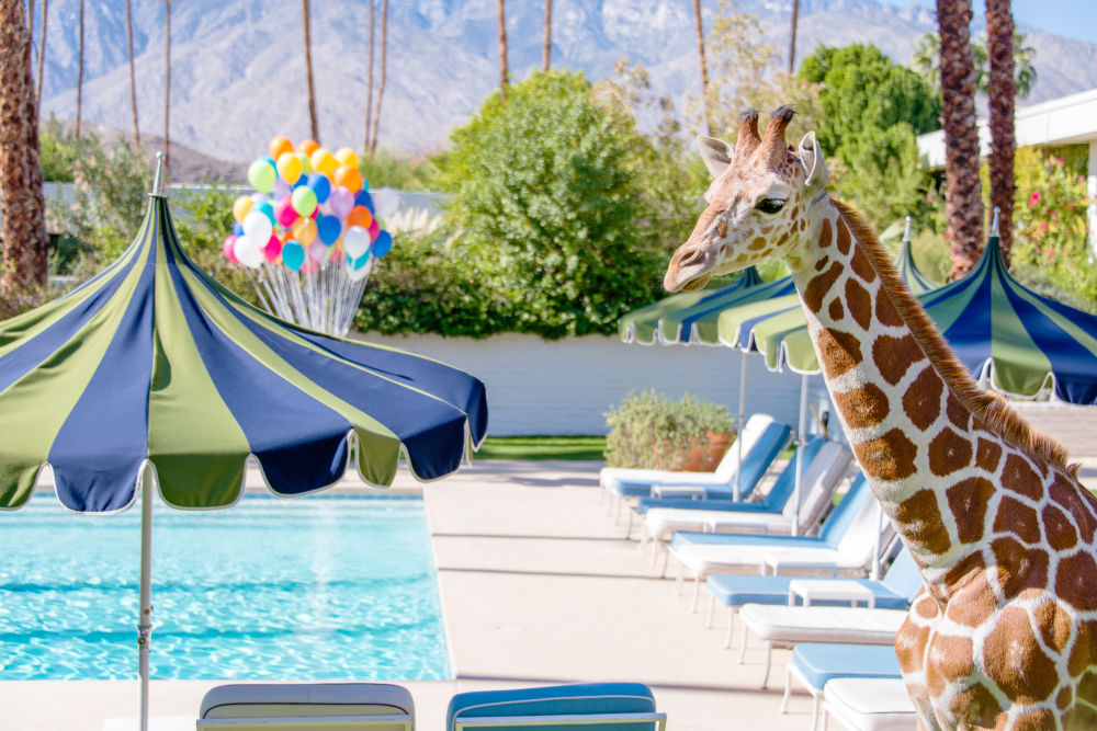 Photography by Gray Malin of Lifeguard On Duty
