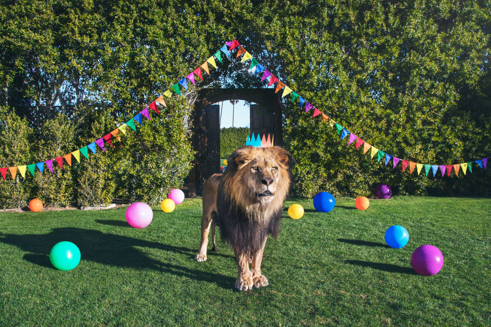 Photography by Gray Malin of Mister Parker