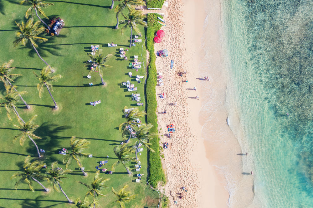 Photography by Gray Malin of Palm Tree Beach, Kauai